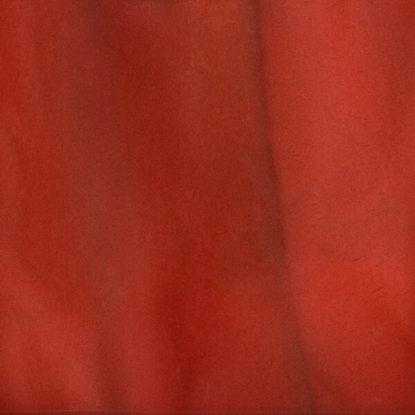 TORGINOL METALLIC PIGMENT - AMERICANA