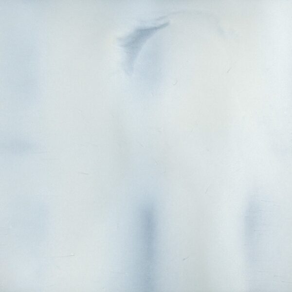 TORGINOL METALLIC PIGMENT - PEARL